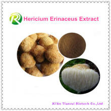 Extracto 100% hericium erinaceus natural de alta calidad